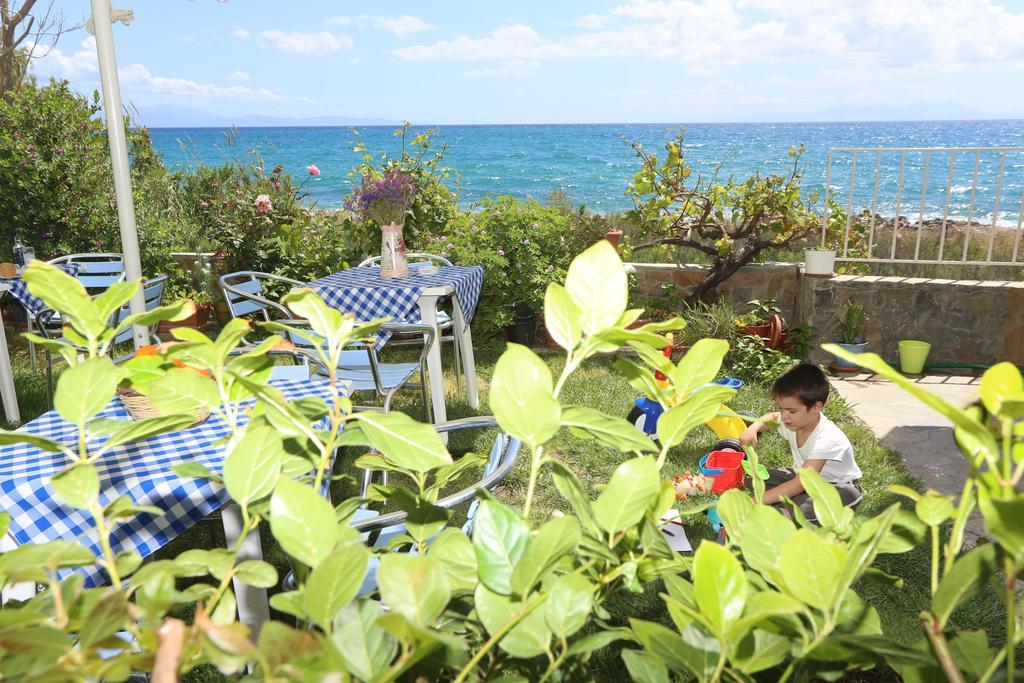 Akrogiali Hotel Plomari Dış mekan fotoğraf